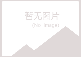 渭城区山柳机械有限公司